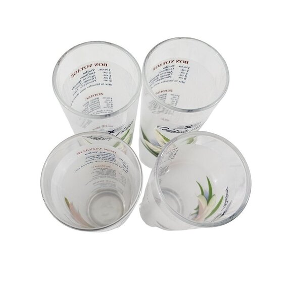 Celebrity Cruises Orchids Frosted High Ball Glasses Drink Recipe – Set of 4 - Picture 10 of 16